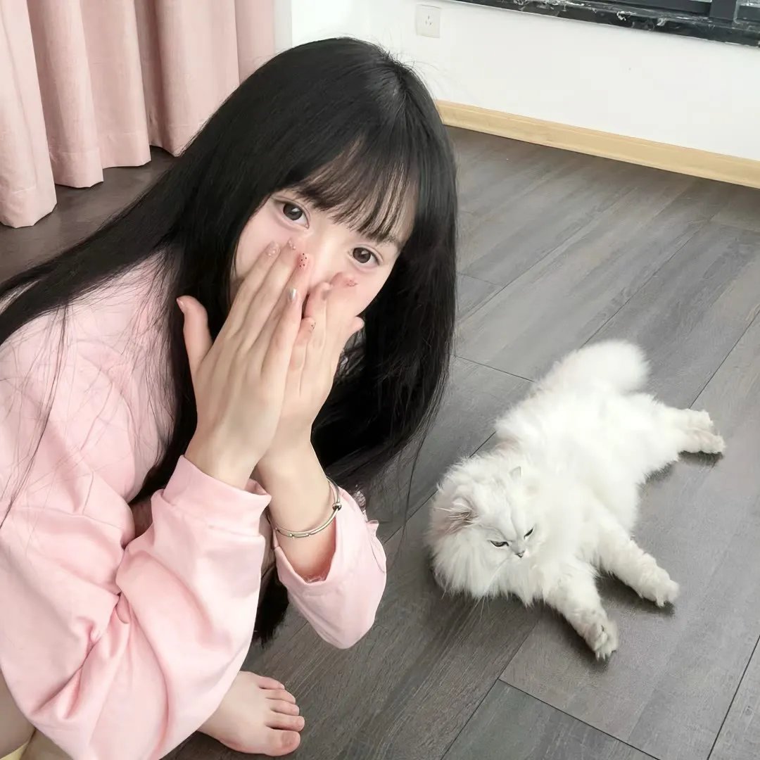 妖怪名单第二季